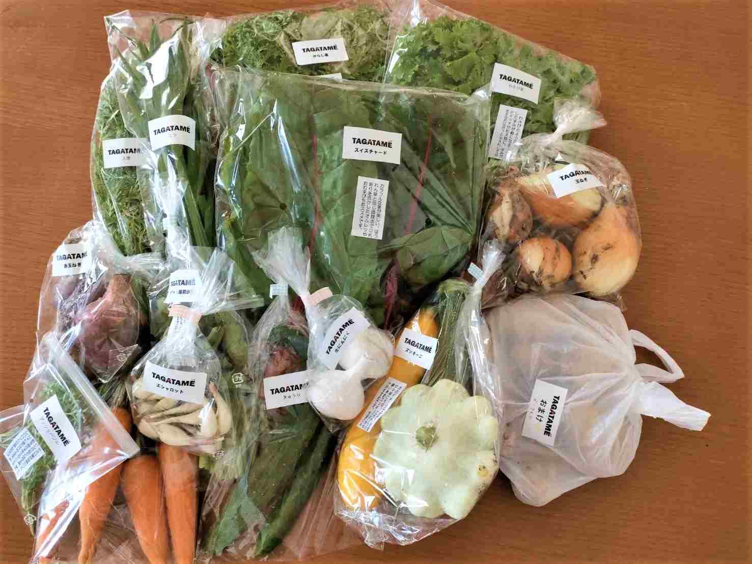 ふるさと納税 Ufoズッキーニ 無農薬 香川県さぬき市の 旬の採れたてお野菜詰め合わせセット が届きました